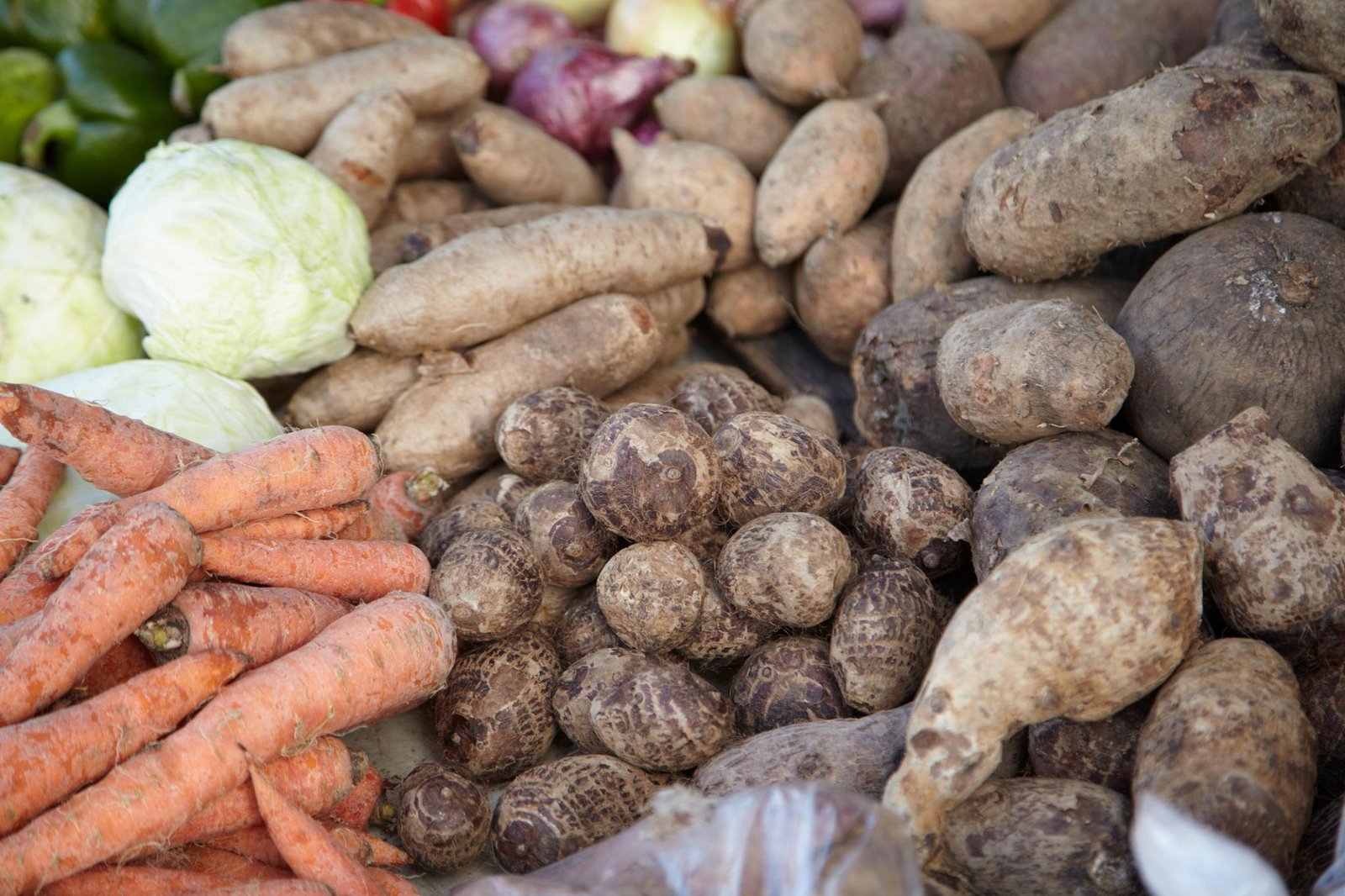 How Rising Food Prices Are Changing the Way Jamaicans Shop