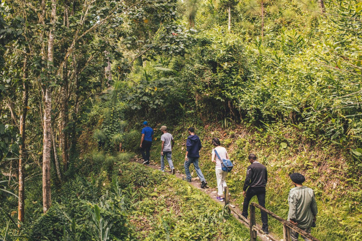 Why Walking Remains One of the Best Exercises for Jamaicans of All Ages